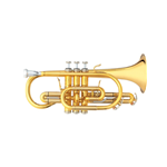 B&S Challenger I 3142 Series Bb Cornet