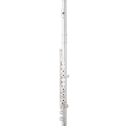 Eastman EFL220 Series Flute