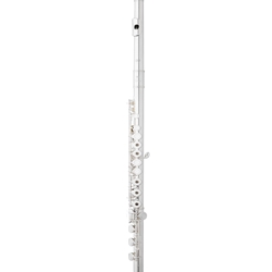 Eastman EFL320 Series Flute