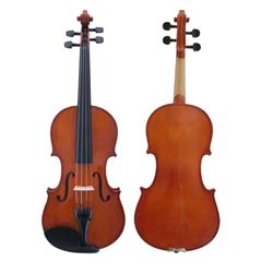 Eastman Albert Nebel VA601 Professional Viola